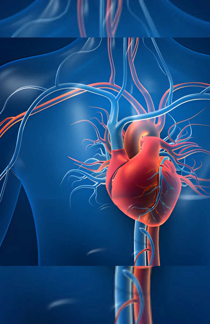 Why Choose Us Image 1