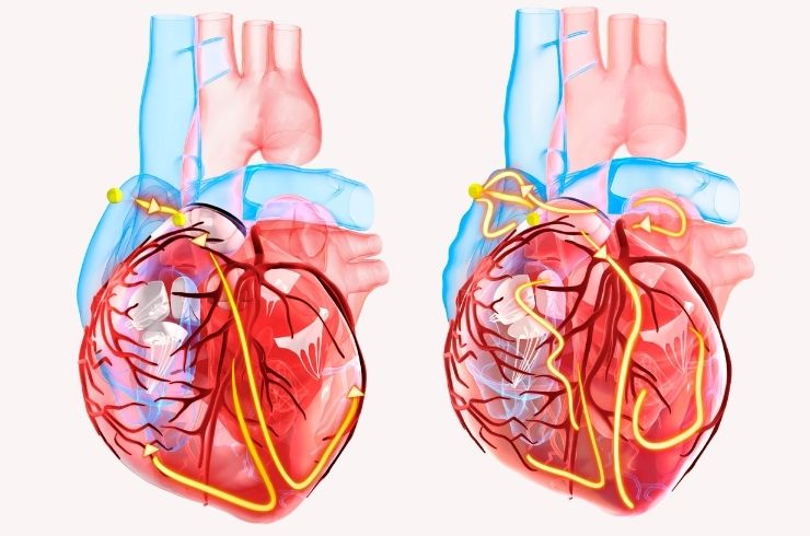 RK Heart and Polyclinic