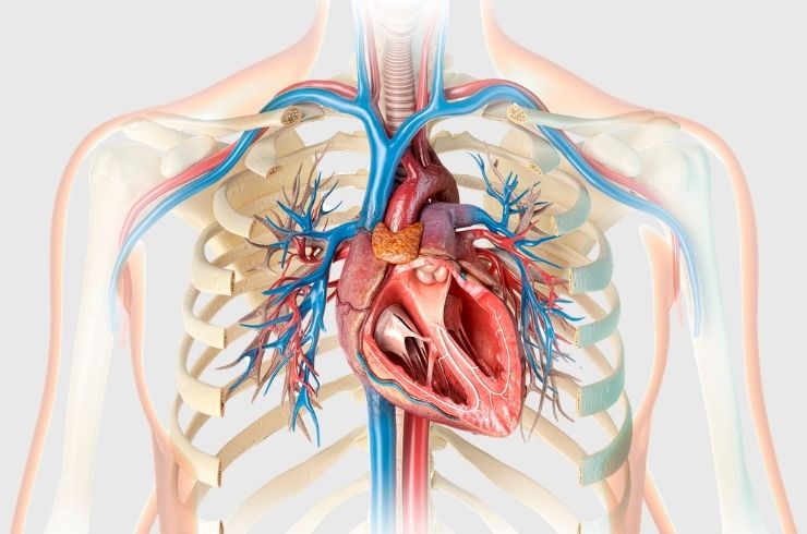 RK Heart and Polyclinic